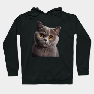 British Shorthair Cat - A Sweet Gift Idea For All Cat Lovers And Cat Moms Hoodie